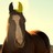 flaxenjasper profile pic
