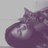 fannynofunny profile pic