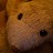 hippieearthycrunchy profile pic