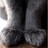 miss stevens profile pic