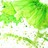 kiwi-leaf profile pic