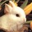 SporadicEnigma profile pic