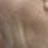 Tongue profile pic