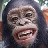 babyape profile pic