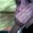 forxskasxsake profile pic