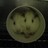 Vududulce profile pic