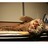 paf_mrvica profile pic