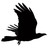 creativeapparatus profile pic