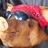 hawg profile pic