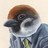 David T profile pic