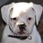 foxc2890 profile pic