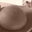 oymysunnies profile pic