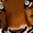 nomade studio profile pic