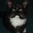 yue kitty profile pic