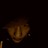 rockinout89 profile pic