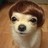 super bren profile pic