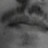 SilvioPequeno profile pic