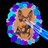 TELP profile pic
