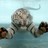 moosho_dog profile pic