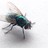 flycutter profile pic