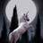 The Last Unicorn profile pic