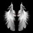 ikar11 profile pic