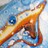 s2558943 profile pic