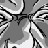 Kaikus profile pic