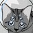 ~Kingdom profile pic