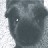 organicly profile pic