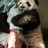 sushimooshie profile pic