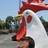 PatShat profile pic