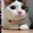 tetrahart profile pic