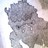 elspers profile pic