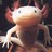 wi.doe profile pic