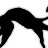 zcccrv profile pic