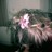 Sofs profile pic