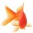Goldfish92 profile pic