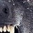 Tunderous II profile pic