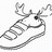 mooseinmyshoe profile pic