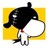 sinwon profile pic