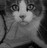 ILJ profile pic