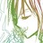 adelaid3 profile pic