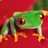 carlitosmmxi profile pic