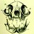 widowduck profile pic