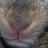 Jasmine88 profile pic
