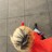 Hannah M. Peltier profile pic