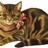 APOCALYPSE MEOW profile pic