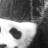 evilsheepy profile pic