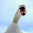 JarLinka profile pic